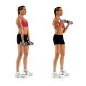 bicep-curl.jpg