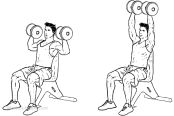 Seated-Overhead-Dumbbell-Press.png